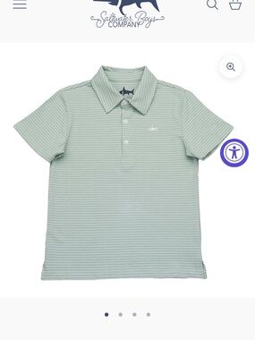 Saltwater Boys Co Seafoam and White Striped Polo Shirt for boys size 10-12